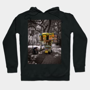 Central Park Fifth Ave Manhattan NYC Hoodie